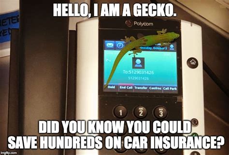 geico gecko Memes & GIFs - Imgflip