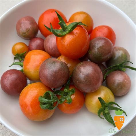 Two Quick Tips for Tomato Harvesting - Patio Produce