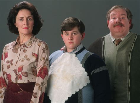 Dursley family | Warner Bros. Entertainment Wiki | Fandom