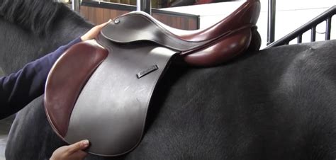 The 3 Best English Saddles: Reviews & Buying Guide - Equineigh