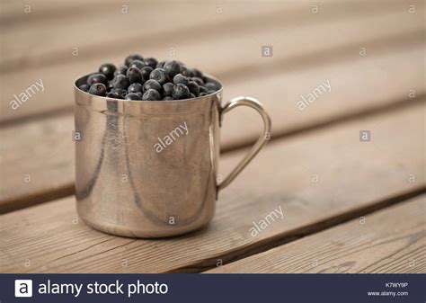 old scratched stainless steel mug filled with freshly picked wild bilberry, wooden porch Stock ...