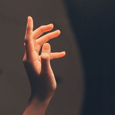 File:Hand Model.jpg - Wikimedia Commons