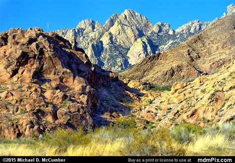 Organ Mountains Picture 039 - March 26, 2016 from Organ Mountains ...