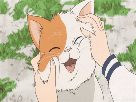 Cat Cute GIF - Cat Cute Anime - GIF を見つけて共有する