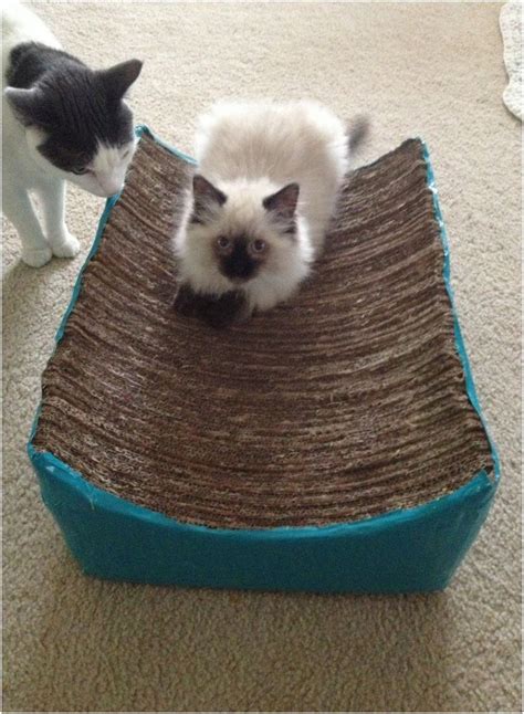 Top 10 Cat Scratching Post - vrogue.co