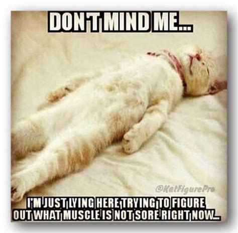 how I feel after the holidays. :/ | Funny gym quotes, Gym humor ...