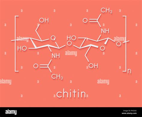 Chitin, chemical structure. Chitin is a polymer of N-acetylglucosamine and is present in the ...