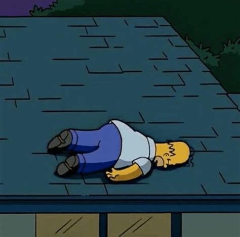 Meme Generator - Homer passed out on roof - Newfa Stuff