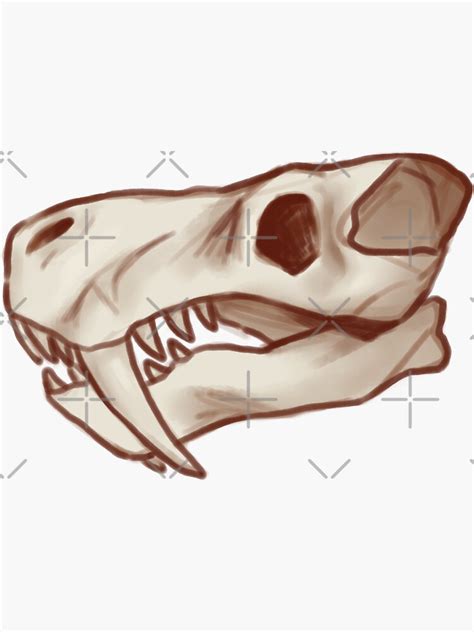 "Gorgonopsid Skull 2021" Sticker for Sale by JJamima | Redbubble