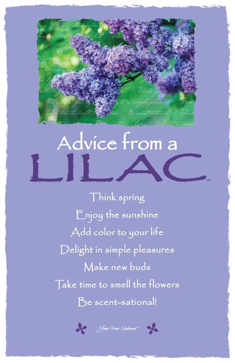 Advice from a Lilac Frameable Art Card – Your True Nature, Inc. in 2020 | Flower qoutes, Lilac ...