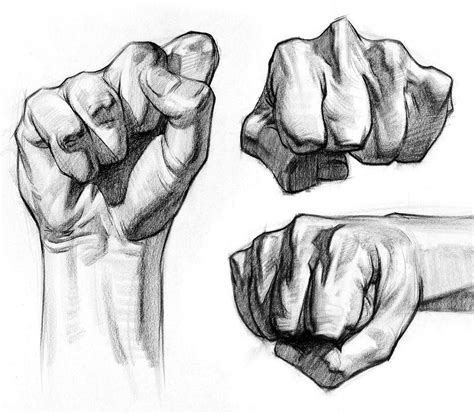 Fist Drawing Reference and Sketches for Artists