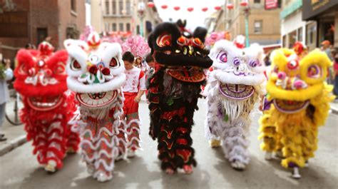 Lion Dance Costume