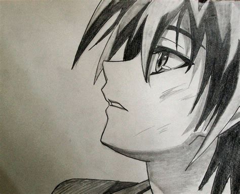 Black Cat Manga Drawing