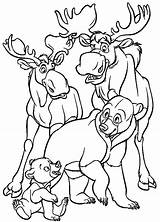 Brother Bear Coloring Pages  Best For Kids sketch template