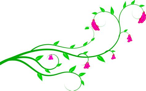 floral vine clip art 10 free Cliparts | Download images on Clipground 2024