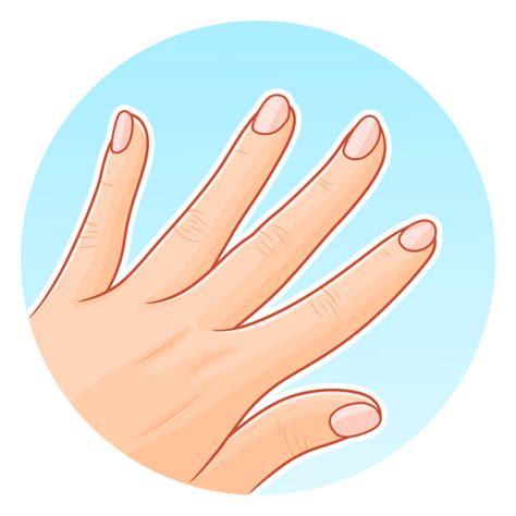 Hand Nails - Banco de fotos e imágenes de stock - iStock