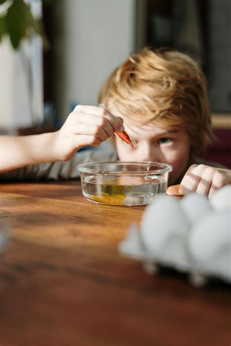 Blonde Haired Boy Squeezing Orange Dye on Bowl with Water · Free Stock Photo