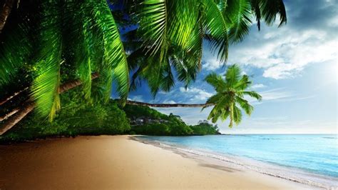 Tropical Paradise Beach Wallpaper - Nature HD Wallpapers - HDwallpapers.net