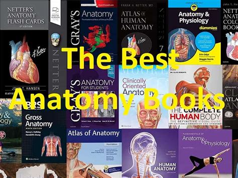 The Best Anatomy Books PDF for Medical Students | BooksDoctor