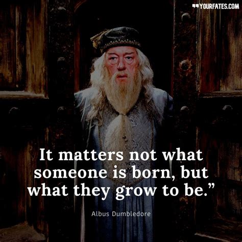 75 Magical Harry Potter Quotes for a Braver You