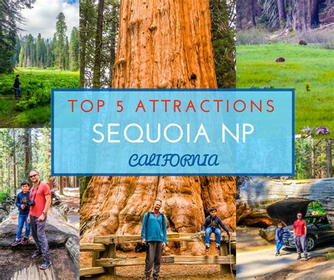 Top 5 Attractions in Sequoia National Park - NiceRightNow