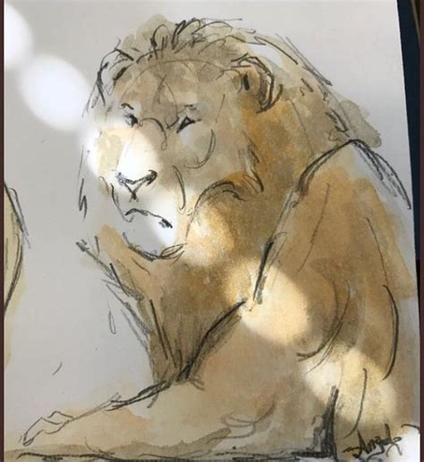 The Lion King 2019 Concept Art | 🦁The Lion King Amino🦁 Amino