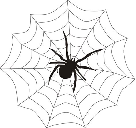 Spider Web Outline - ClipArt Best