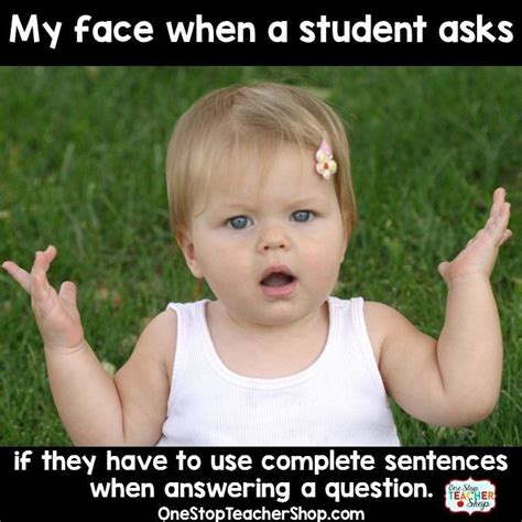 Teacher Humor | Teacher humor, Teaching humor, Teacher memes funny