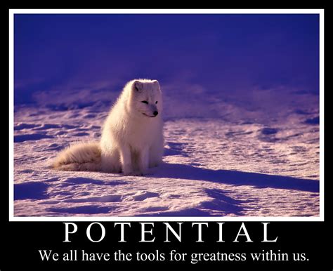 How To Make Motivational Posters In iPiccy - iPiccy Photo Editor Blog | iPiccy Photo Editor Blog