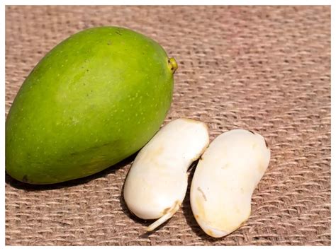 Benefits of Mango Seeds: Interesting culinary uses of mango seeds