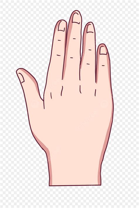 Be Right Back PNG Image, Right Hand Back Gesture Illustration, Hand Back Facing, Right Hand ...