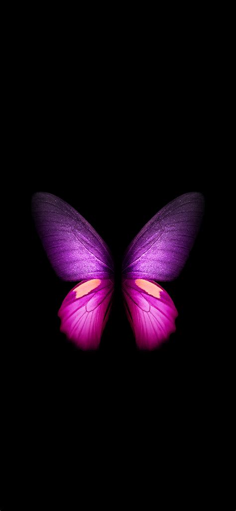 Butterfly - Galaxy Fold (Black) | LIVE Wallpaper - Wallpapers Central