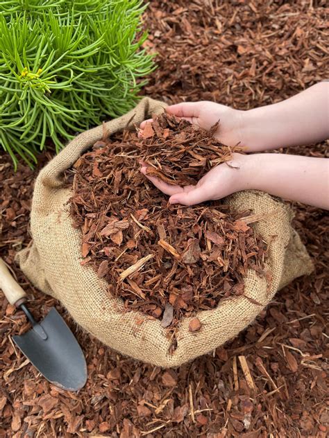 The Best Bagged Mulches Of - babykuhr