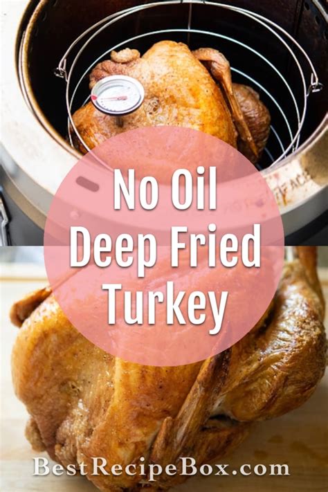 Oil Less Deep Fried Turkey Air Fryer Crispy Skin | Best Recipe Box