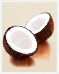 Fresh Coconut at Best Price in Port Blair, Andaman and Nicobar Islands ...