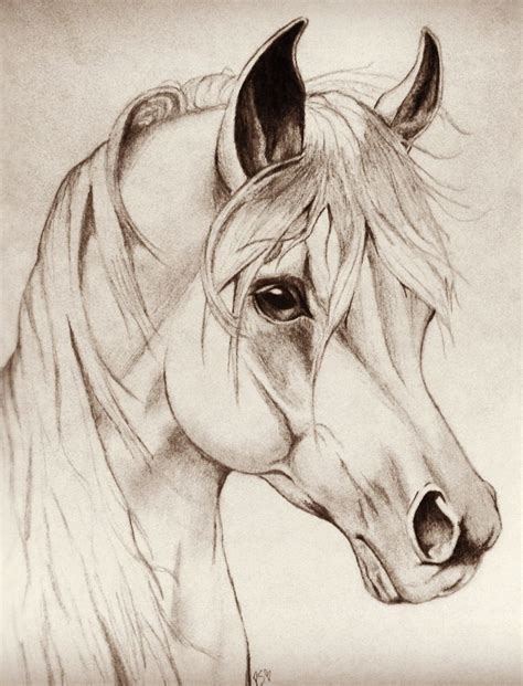 Horse Head Drawing Easy at PaintingValley.com | Explore collection of Horse Head Drawing Easy