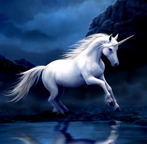 Unicorn Horse Wallpapers - Wallpaper Cave