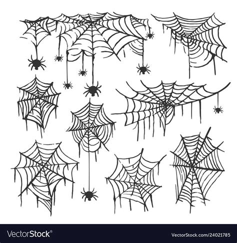 Collection of Cobweb isolated transparent background. Spiderweb for Halloween design. Spider web ...