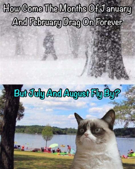 Grumpy Cat Says The Summer Months Goes By Way Too Fast!! | Wahnsinn