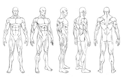 Anime Body Templates For Drawing at GetDrawings | Free download