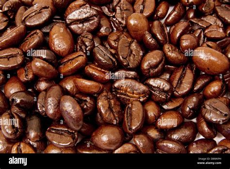 Starbucks Coffee Beans High Resolution Stock Photography and Images - Alamy