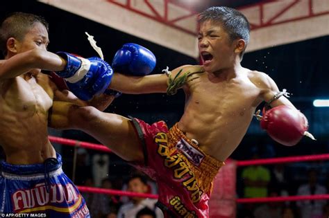 Blood, sweat and tears: Muay Thai child fighters battle against each ...