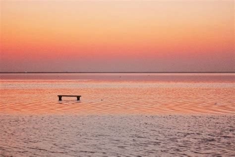 The World’s Largest Salt desert | Rann of Kutch | Kutch, Gujrat - Tripoto