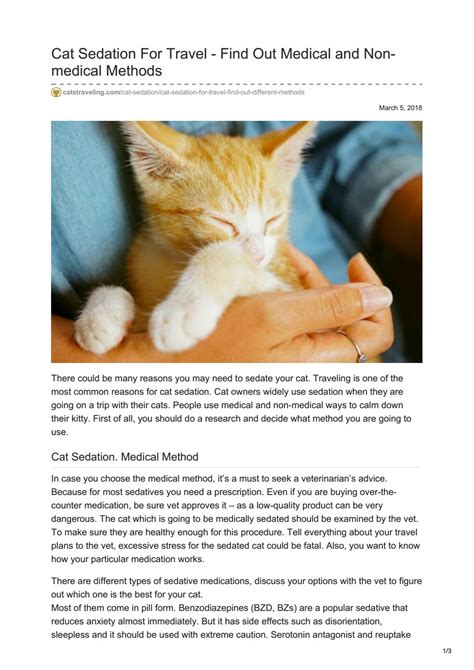 Cat Sedation For Travel - Find Out Medical and Non-medical Methods by CatsTraveling.Com - Issuu