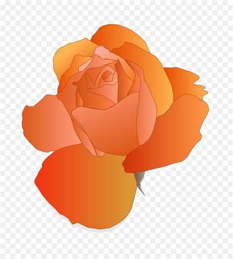 Free Orange Flower Transparent, Download Free Orange Flower Transparent png images, Free ...