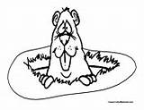 Gopher Coloring Pages sketch template