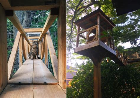 Pet Lover Builds Sprawling Outdoor Cat Tree House in his Backyard