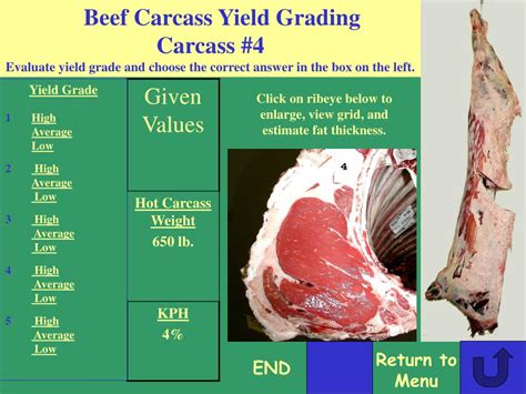 PPT - Beef Carcass Yield Grading CDE Practice Based on the 2002 Georgia State Meats CDE ...