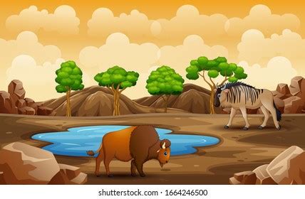 Cartoon Animals Dry Land Stock Vector (Royalty Free) 1664246500 ...