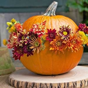11 Stunning Fall Floral Arrangements with Pumpkins & Gourds